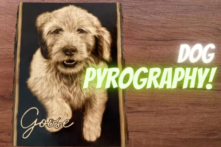 Dog pyrography - an art close to your heart