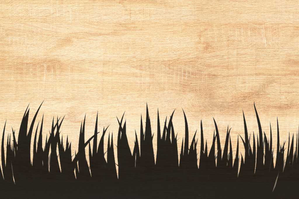 Grass Field
