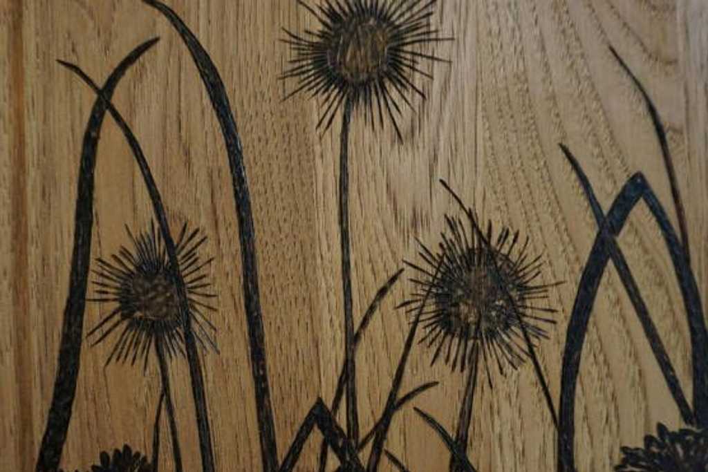 Grass with Dandelions