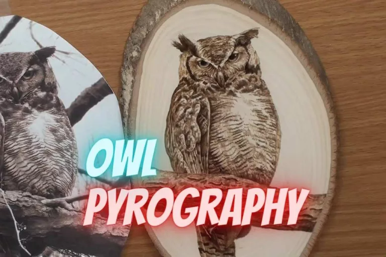 Owl pyrography