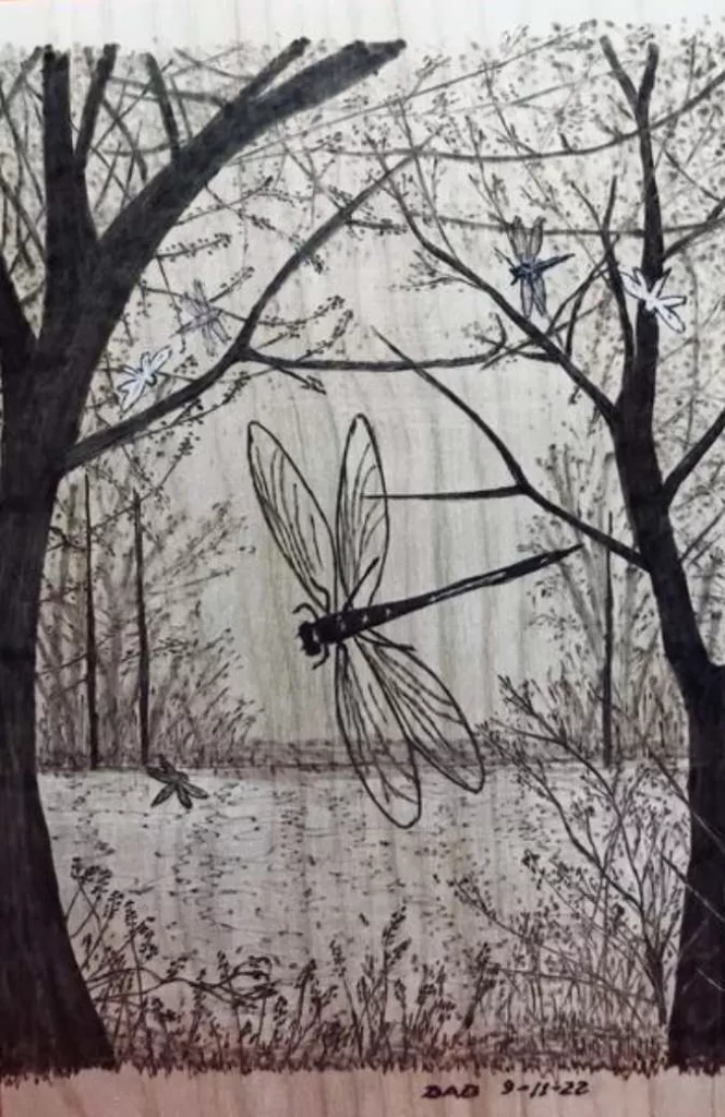 Dragonfly on Wood Panel Canvas Pyrography Art wood burning – Pyrography  Made Easy