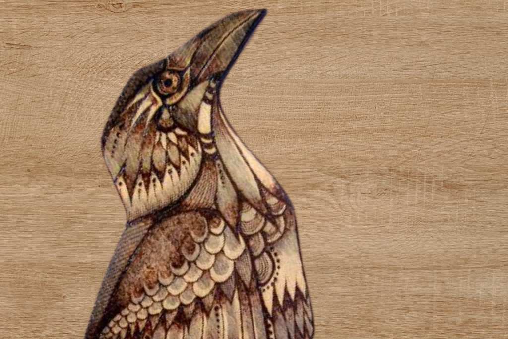 3D pyrography of a bird