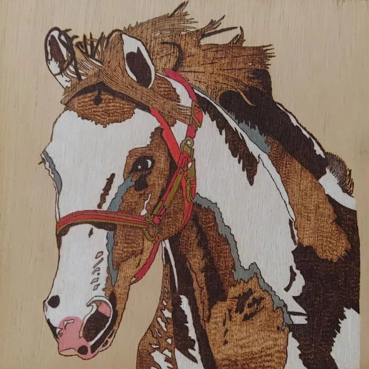 Colored pyrography of a horse