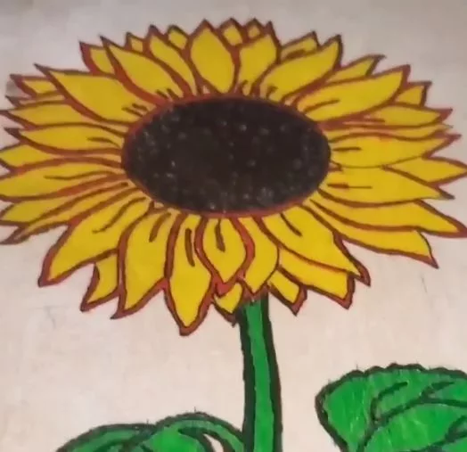 Sunflower pyrography