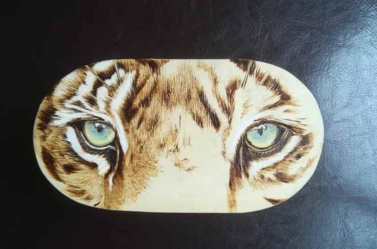 Tiger eyes pyrography by Karen Bruce