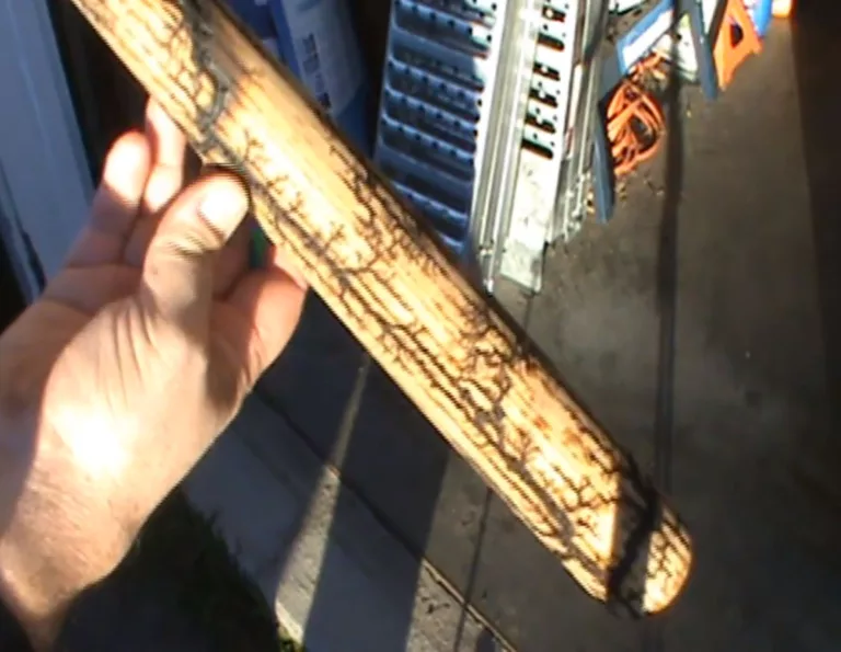 Fractal woddburning on a regular sized baseball bat