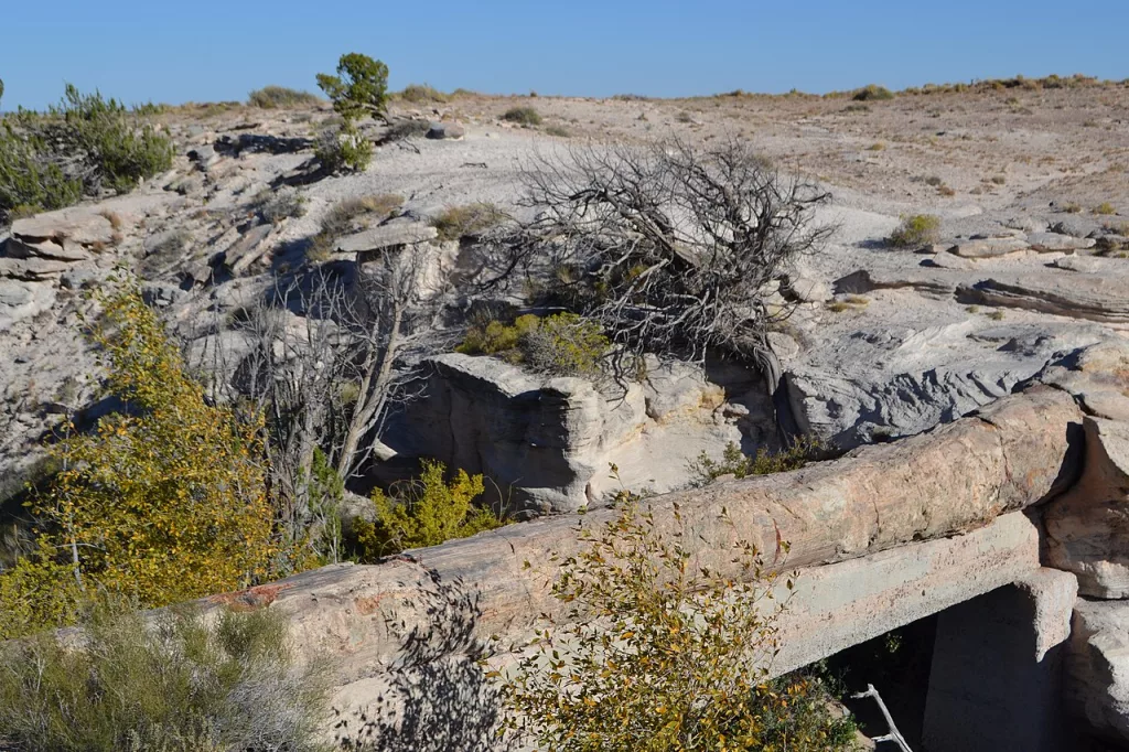 Agate Bridge in Petrified Forest National Park, Arizona