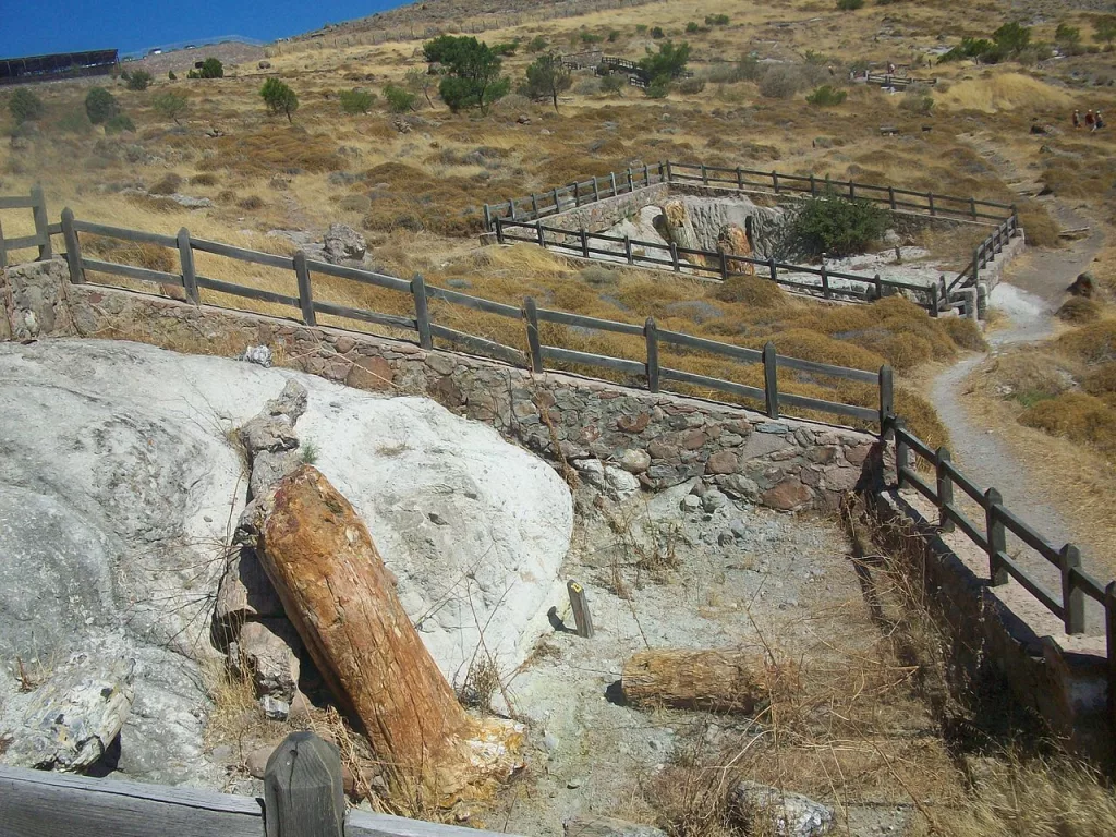 Lesvos Petrified Forest