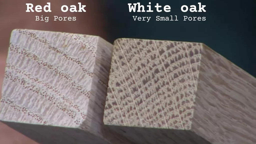 Porosity differences between red oak and white oak