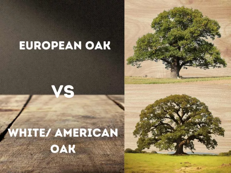 European oak vs American oak