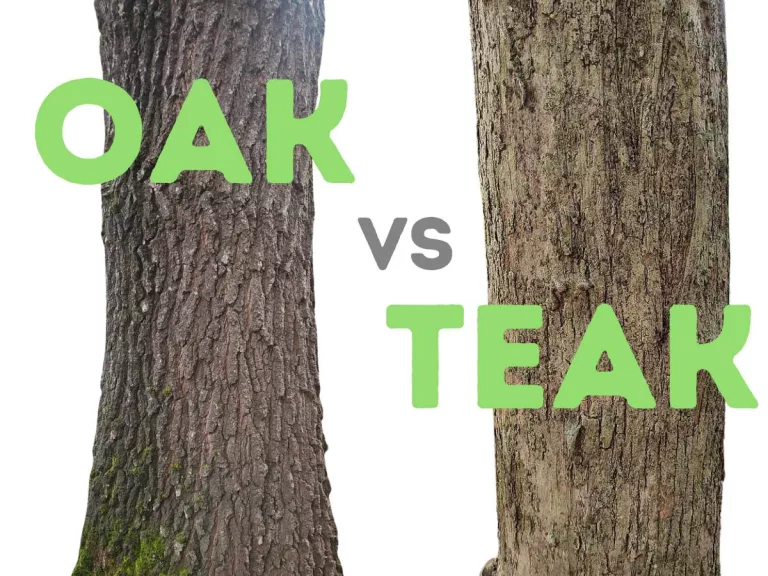 oak wood vs teak wood