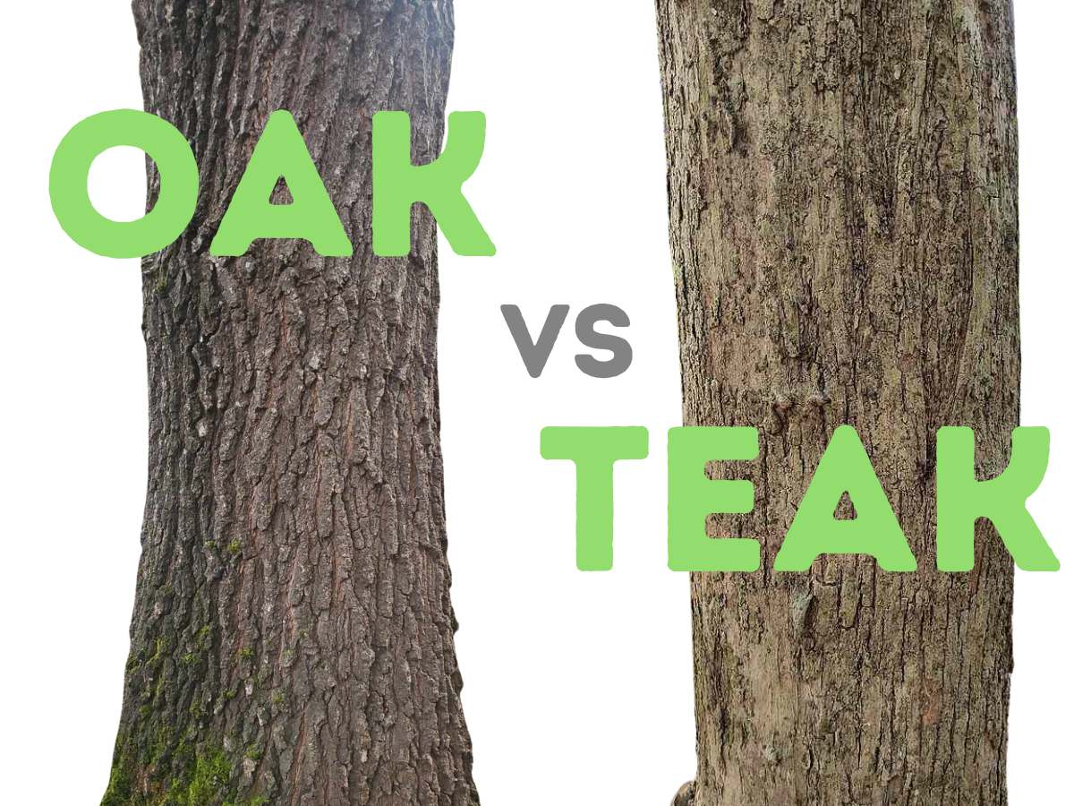 Oak Wood Vs Teak Wood A Comprehensive Guide To Choosing Your Perfect   Oak Wood Vs Teak Wood 