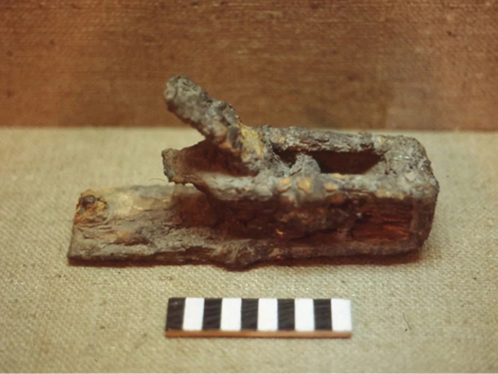 Plane found at Pompeii. From the collections of the Antiquarium, Pompei.