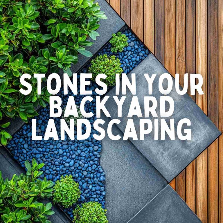 15 Creative Ways to Use Stones in Your Backyard Landscaping