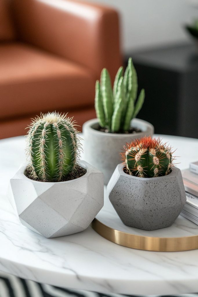 Geometric Planters on a Coffee Table