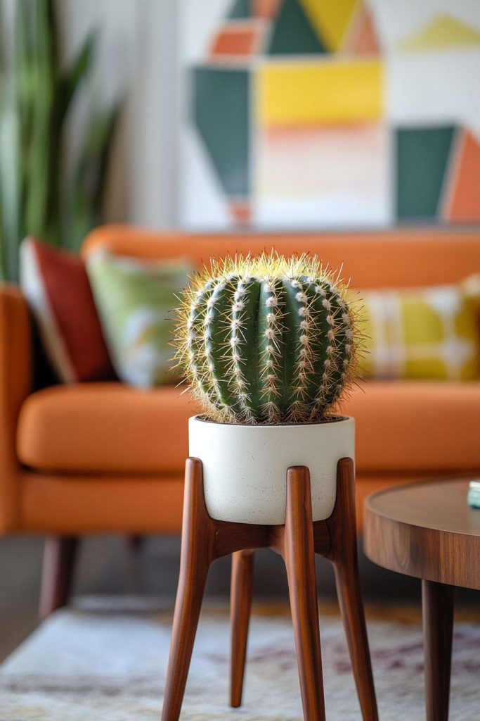 Cacti and Modern Design